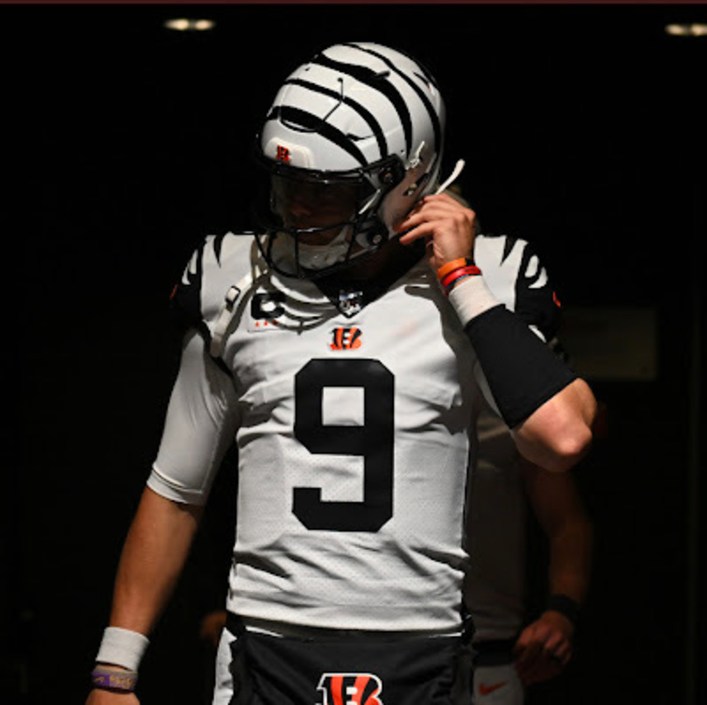 Meet your Posher, Owen